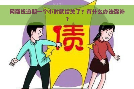 网商贷逾期一个小时就给关了？有什么办法弥补？