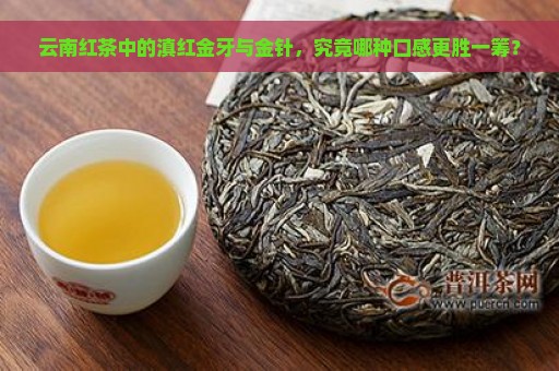 云南红茶中的滇红金牙与金针，究竟哪种口感更胜一筹？