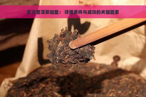 安次普洱茶加盟： 详细条件与成功的关键因素