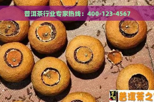 普洱茶行业专家热线：400-123-4567