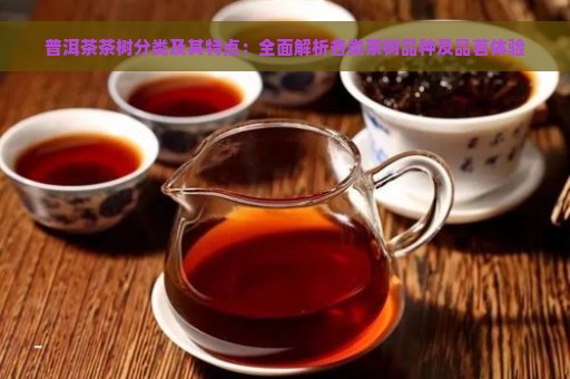 普洱茶茶树分类及其特点：全面解析各类茶树品种及品茗体验