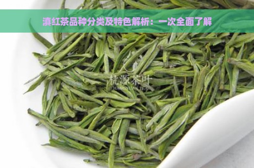 滇红茶品种分类及特色解析：一次全面了解