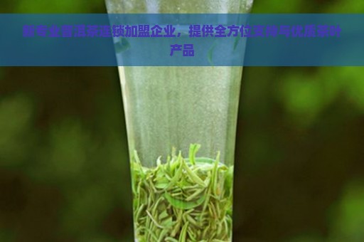 新专业普洱茶连锁加盟企业，提供全方位支持与优质茶叶产品