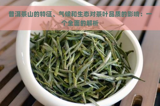 普洱茶山的特征、气候和生态对茶叶品质的影响：一个全面的解析