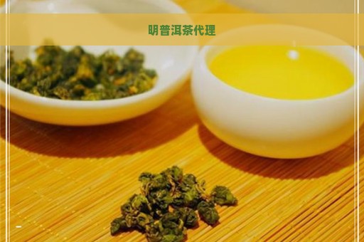 明普洱茶代理