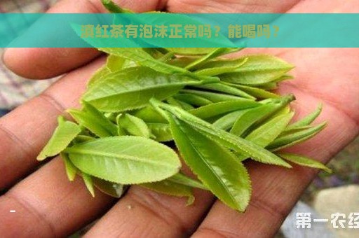 滇红茶有泡沫正常吗？能喝吗？