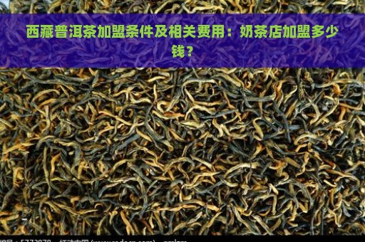 西藏普洱茶加盟条件及相关费用：奶茶店加盟多少钱？