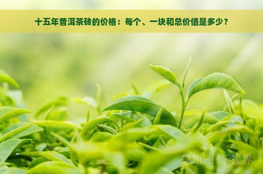 十五年普洱茶砖的价格：每个、一块和总价值是多少？