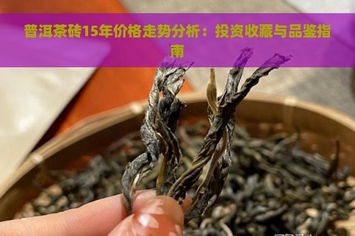 普洱茶砖15年价格走势分析：投资收藏与品鉴指南