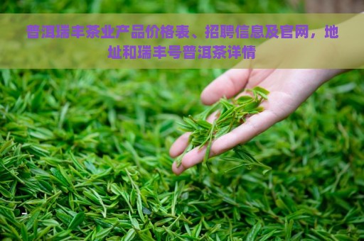 普洱瑞丰茶业产品价格表、招聘信息及官网，地址和瑞丰号普洱茶详情