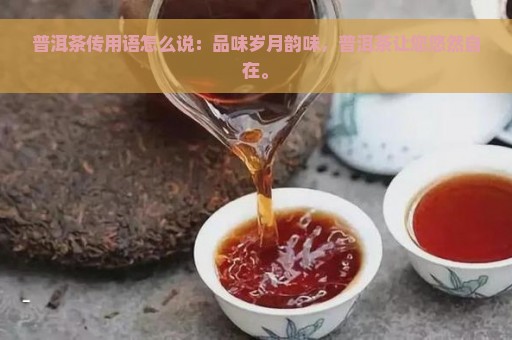 普洱茶传用语怎么说：品味岁月韵味，普洱茶让您悠然自在。