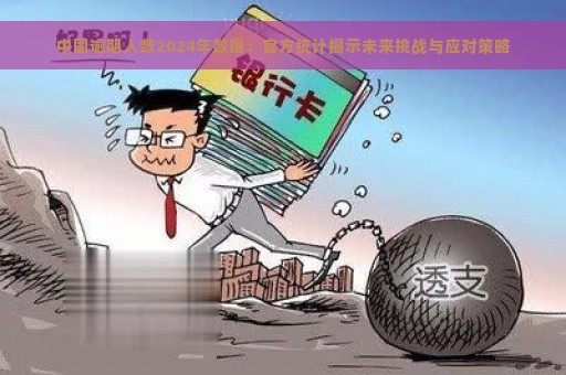 中国逾期人数2024年数据：官方统计揭示未来挑战与应对策略