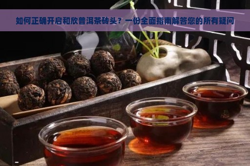 如何正确开启和欣普洱茶砖头？一份全面指南解答您的所有疑问