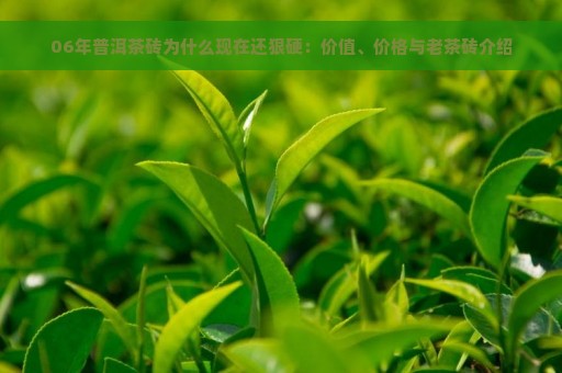 06年普洱茶砖为什么现在还狠硬：价值、价格与老茶砖介绍