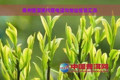 泰州普洱茶代理电话与地址信息汇总