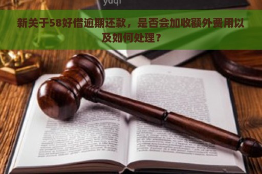 新关于58好借逾期还款，是否会加收额外费用以及如何处理？