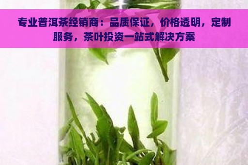 专业普洱茶经销商：品质保证，价格透明，定制服务，茶叶投资一站式解决方案