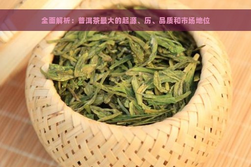 全面解析：普洱茶最大的起源、历、品质和市场地位