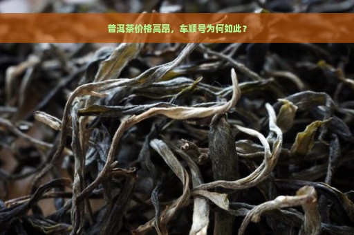 普洱茶价格高昂，车顺号为何如此？