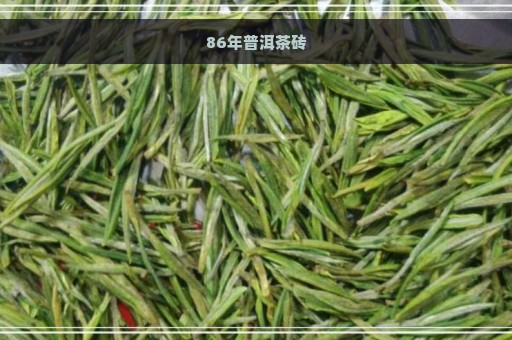 86年普洱茶砖