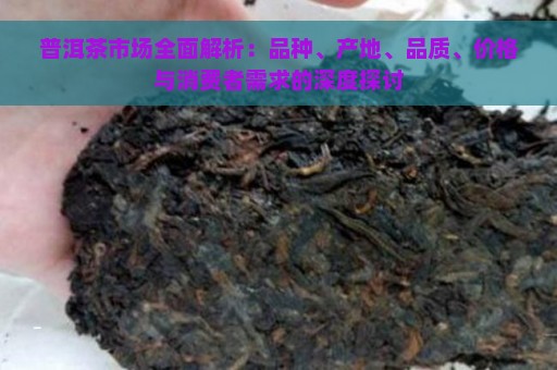 普洱茶市场全面解析：品种、产地、品质、价格与消费者需求的深度探讨