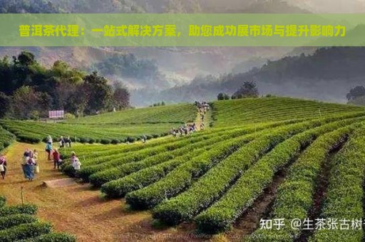 普洱茶代理：一站式解决方案，助您成功展市场与提升影响力