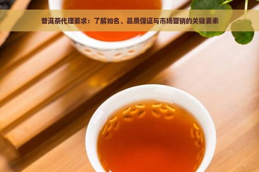 普洱茶代理要求：了解知名、品质保证与市场营销的关键要素