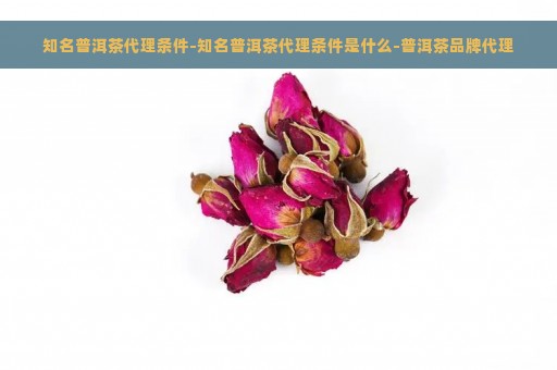 知名普洱茶代理条件-知名普洱茶代理条件是什么-普洱茶品牌代理