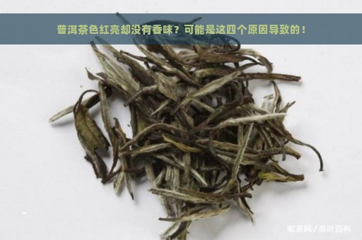 普洱茶色红亮却没有香味？可能是这四个原因导致的！