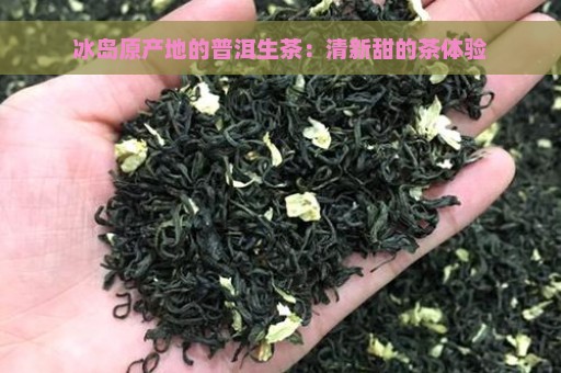 冰岛原产地的普洱生茶：清新甜的茶体验