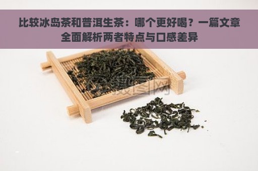 比较冰岛茶和普洱生茶：哪个更好喝？一篇文章全面解析两者特点与口感差异