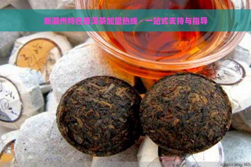 新潮州特色普洱茶加盟热线 - 一站式支持与指导