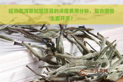 投资普洱茶加盟项目的详细费用分析，包含哪些主要开支？