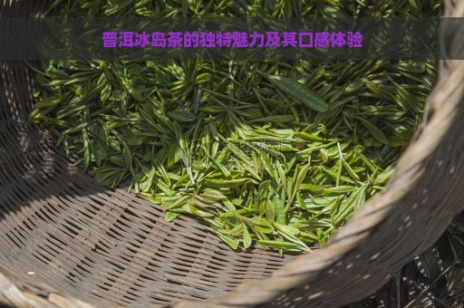 普洱冰岛茶的独特魅力及其口感体验