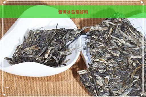 普洱冰岛茶好吗