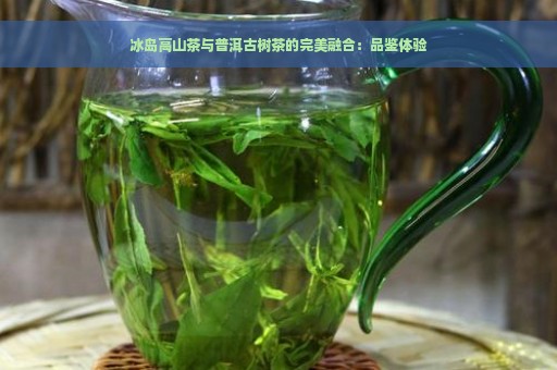 冰岛高山茶与普洱古树茶的完美融合：品鉴体验