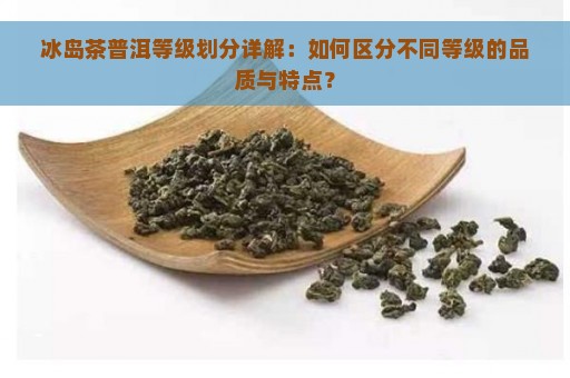 冰岛茶普洱等级划分详解：如何区分不同等级的品质与特点？