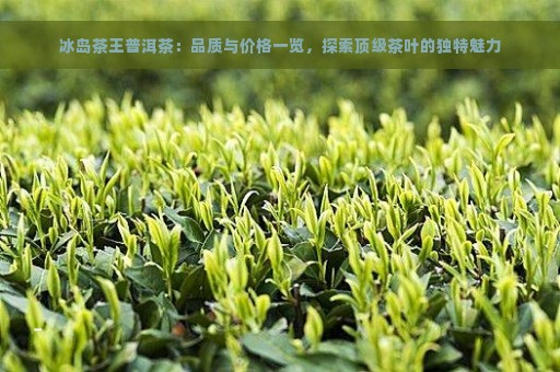 冰岛茶王普洱茶：品质与价格一览，探索顶级茶叶的独特魅力