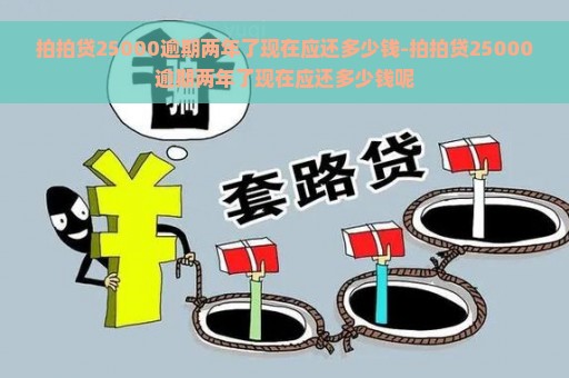 拍拍贷25000逾期两年了现在应还多少钱-拍拍贷25000逾期两年了现在应还多少钱呢