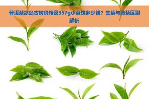 普洱茶冰岛古树价格及357g小茶饼多少钱？生茶与熟茶区别解析