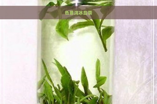 色普洱冰岛茶