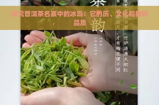 探究普洱茶名寨中的冰岛：它的历、文化和独特品质