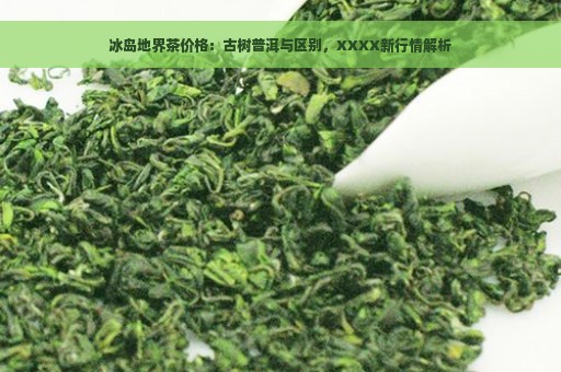 冰岛地界茶价格：古树普洱与区别，XXXX新行情解析