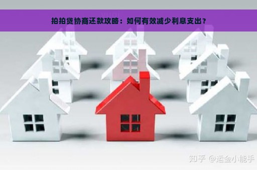 拍拍贷协商还款攻略：如何有效减少利息支出？