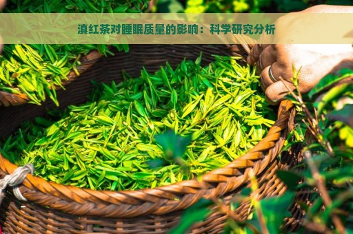 滇红茶对睡眠质量的影响：科学研究分析