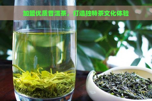 加盟优质普洱茶，打造独特茶文化体验