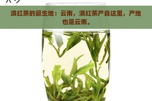 滇红茶的诞生地：云南，滇红茶产自这里，产地也是云南。