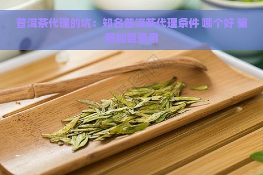 普洱茶代理的坑：知名普洱茶代理条件 哪个好 骗局加盟费用