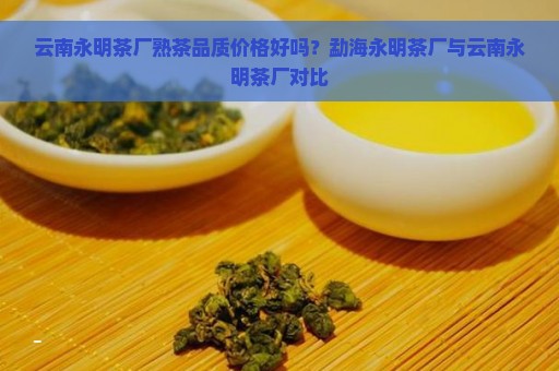 云南永明茶厂熟茶品质价格好吗？勐海永明茶厂与云南永明茶厂对比