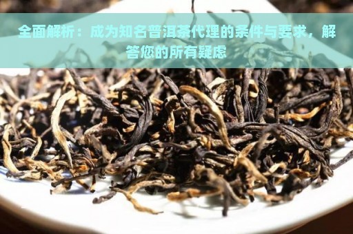 全面解析：成为知名普洱茶代理的条件与要求，解答您的所有疑虑